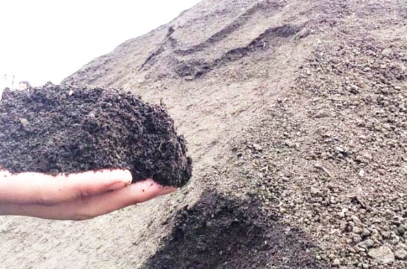 羊糞發酵過程分為哪幾個階段？