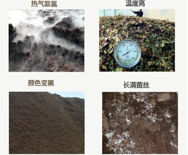 牛糞有機(jī)肥腐熟的原因及方法