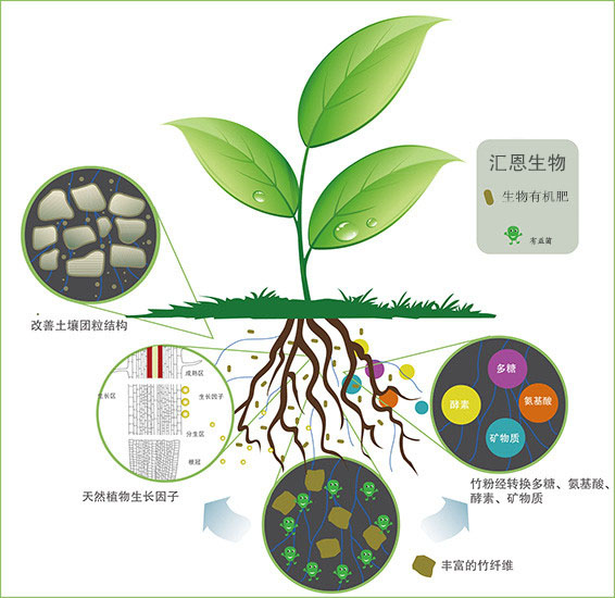 如何應對重茬等土傳病害？