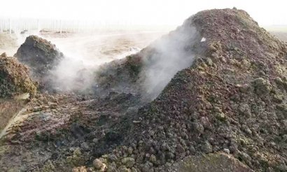 厭氧堆肥發(fā)酵技術(shù)