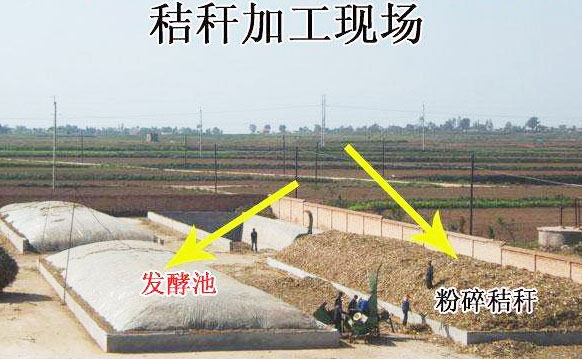 秸稈有機肥發酵有哪些方式