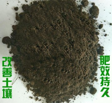 羊糞制作有機肥的方法介紹