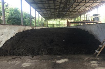 羊糞有機(jī)肥多少錢一噸？