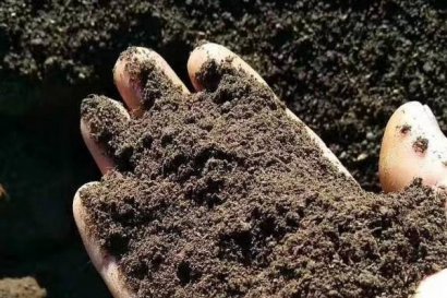 羊糞有機(jī)肥到底好不好？好在哪里？