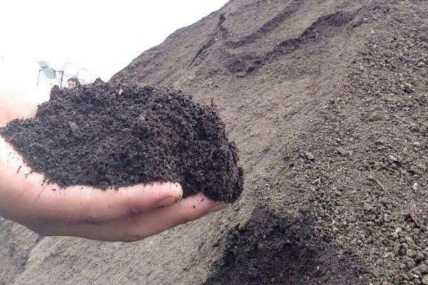 羊糞生產(chǎn)的有機肥成本高嗎
