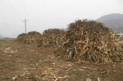 怎么用秸稈做成有機(jī)肥料？