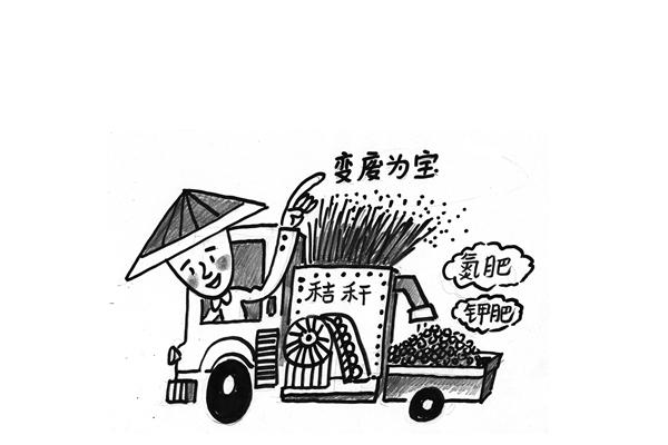 秸稈飼料營養(yǎng)成分