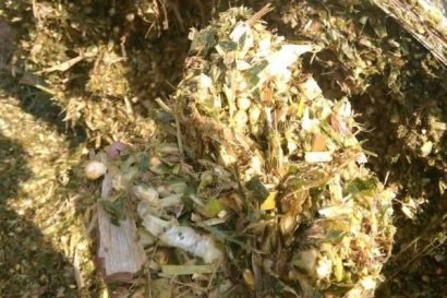 秸稈飼料加工技術(shù)有哪些？