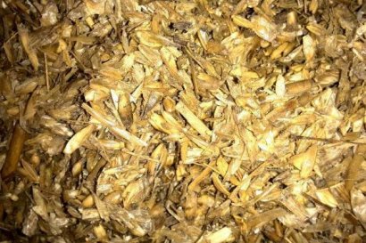 玉米秸稈微貯飼料怎么加工？