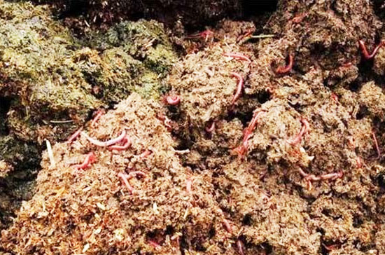 豬糞有機(jī)肥發(fā)酵過程如何不發(fā)臭？