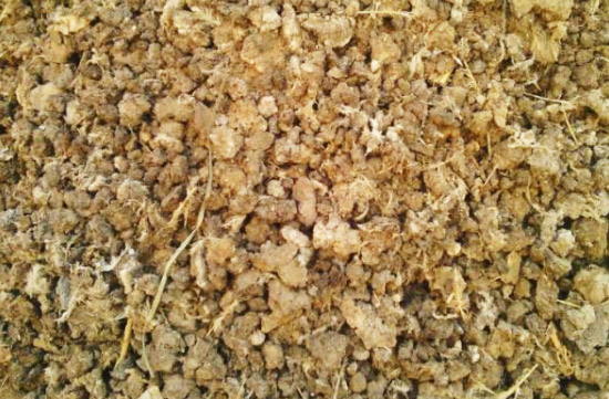 雞糞快速腐熟技術的具體過程