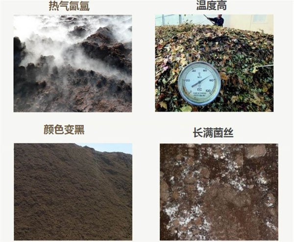 豬糞堆肥發酵生產有機肥需要經過幾個階段？